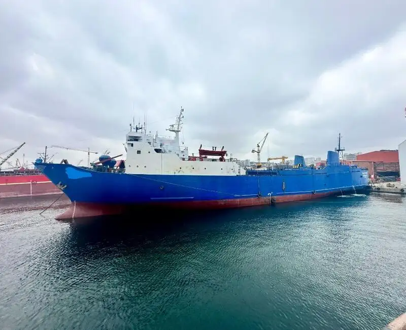Buque granelero en venta