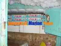 Palangrero en venta