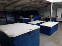 Arrastrero en venta