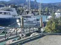 Arrastrero en venta