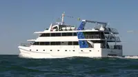 Catamarán en venta