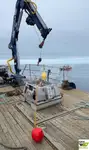 Barcos de trabajo en venta