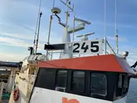 Buque granelero en venta