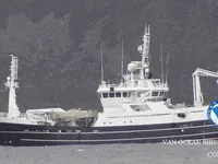 Arrastrero en venta