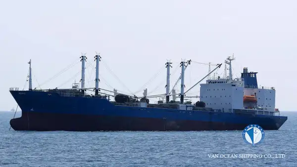Reefer ship for sale
