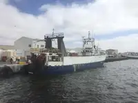 Arrastrero en venta