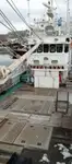 Arrastrero en venta