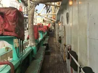 Calamarero en venta