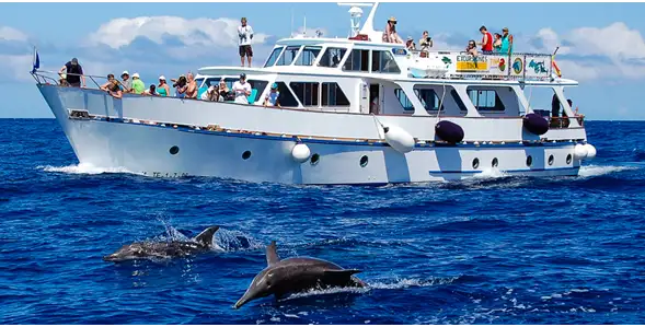 Buque de crucero en venta