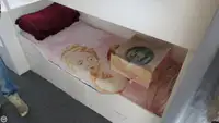 Arrastrero en venta