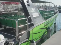 Buque de pasajeros en venta
