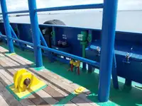 Buque granelero en venta