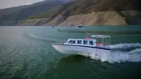Buque de crucero en venta