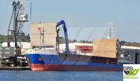 Buque granelero en venta