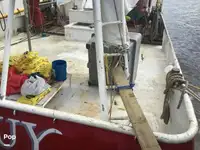 Arrastrero en venta