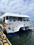 Catamarán en venta