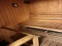 Buque de crucero en venta