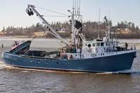 Purse seiner en venta