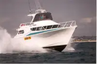 Barcos de trabajo en venta