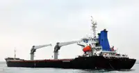 Granelero en venta