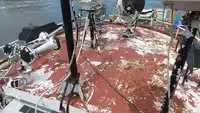 Remolcador en venta