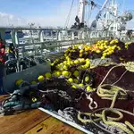 Arrastrero de cerco en venta