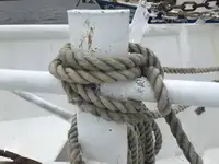 Arrastrero en venta
