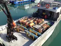 Barcos de trabajo en venta
