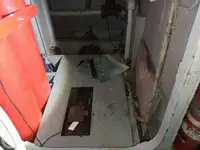 Buque de crucero en venta