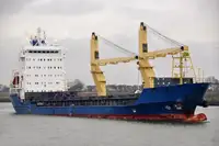 Granelero en venta