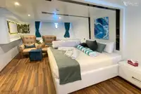 Soporte para buceo en venta