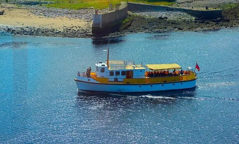 Buque de crucero en venta