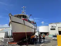 Arrastrero en venta