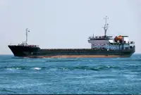 Granelero en venta