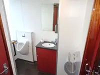 Buque de crucero en venta