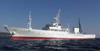Bote patrulla en venta