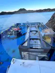 Granelero en venta