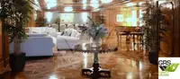 Buque de crucero en venta