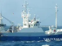 Arrastrero en venta