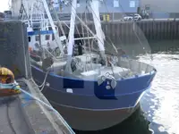 Arrastrero de viga en venta