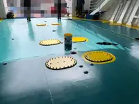 Buque Ro-Ro en venta