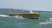 Catamarán en venta