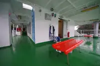 Buque Ro-Ro en venta