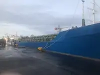 Buque granelero en venta