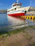 Buque de crucero en venta