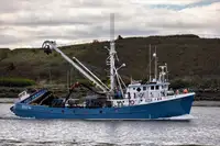 Arrastrero de cerco en venta