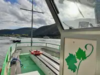 Buque de crucero en venta