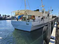 Arrastrero en venta