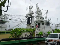 Arrastrero de cerco en venta