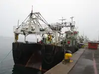 Arrastrero en venta